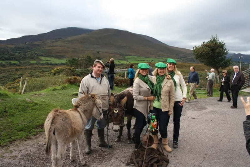 Killarney: Ring of Kerry Bus Tour - Kerry Bog Village and old rural Kerry