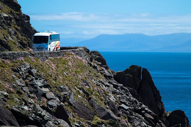 Killarney Super Saver: Dingle and Slea Head Day Trip plus Ring of Kerry and Killarney Lakes Day Trip - Key points to know before booking