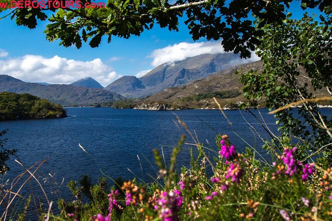 Killarney Super Saver: Dingle and Slea Head Day Trip plus Ring of Kerry and Killarney Lakes Day Trip - Timing, meals, and the limits of a group tour