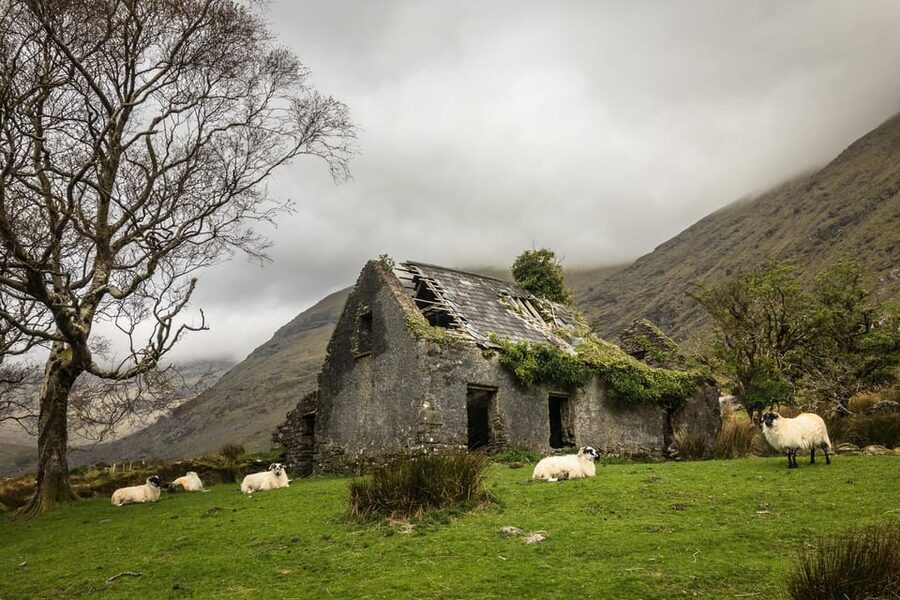 Killarney: The Ring of the Reeks - Backroads Rural Tour - Five details that shape the day