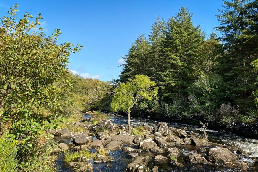 Killarney: The Ring of the Reeks - Backroads Rural Tour - Pickup, group size, and physical demands