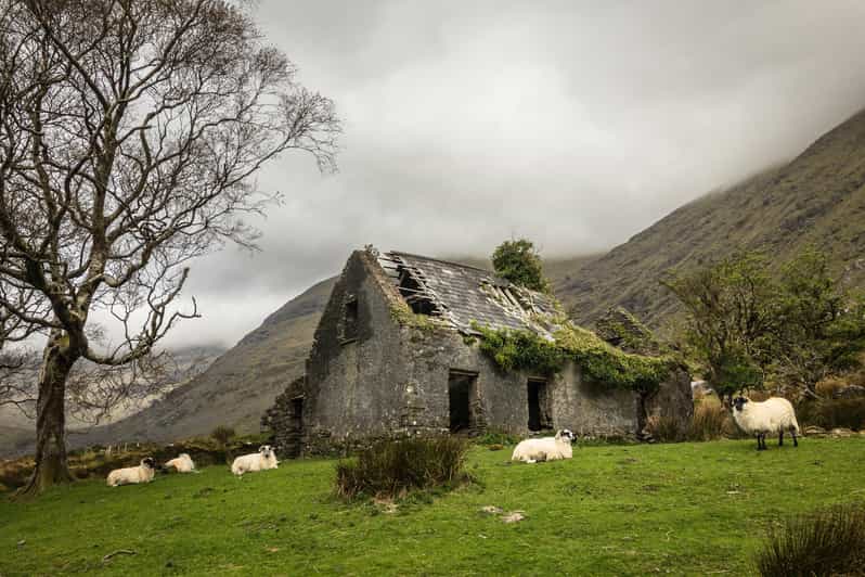 Killarney: The Ring of the Reeks - Backroads Rural Tour - Crossing Ballaghbeama Gap