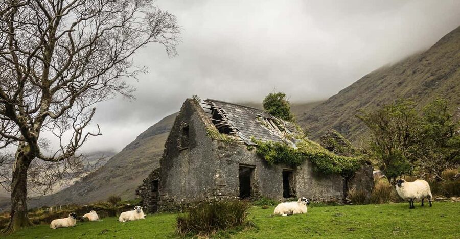 Killarney: The Ring of the Reeks - Backroads Rural Tour - Photography help for cameras and phones