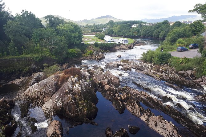 Killarney Valley & National Park - Private Tour - St. Mary’s Cathedral and Killarney’s famine-era past