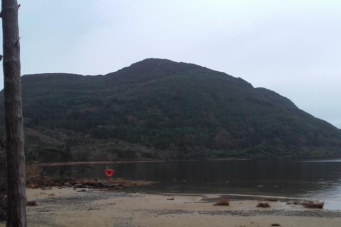 Killarney Valley & National Park - Private Tour - Aghadoe Church and Round Tower