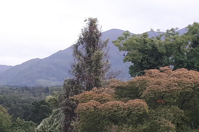 Killarney Valley & National Park - Private Tour - Ladies View and the big Killarney panorama