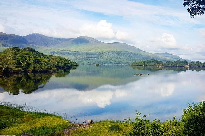 Lakes of Killarney Cruise - Forest, wildlife, and the chance of an eagle
