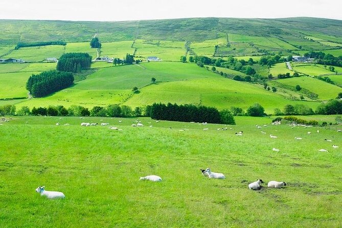 Liberty Irish Tours Dublin City & Wicklow Mountains Luxury Car Shore Excursion - What a private luxury vehicle changes