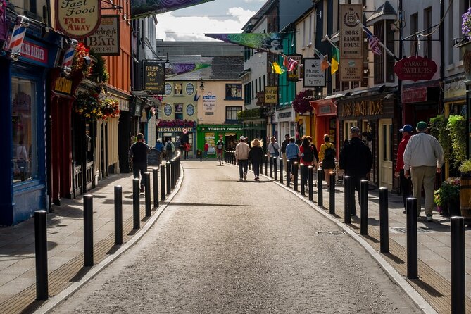 Limerick City: Private transfer to & from Dublin | Premium Cars - Booking details worth checking before payment