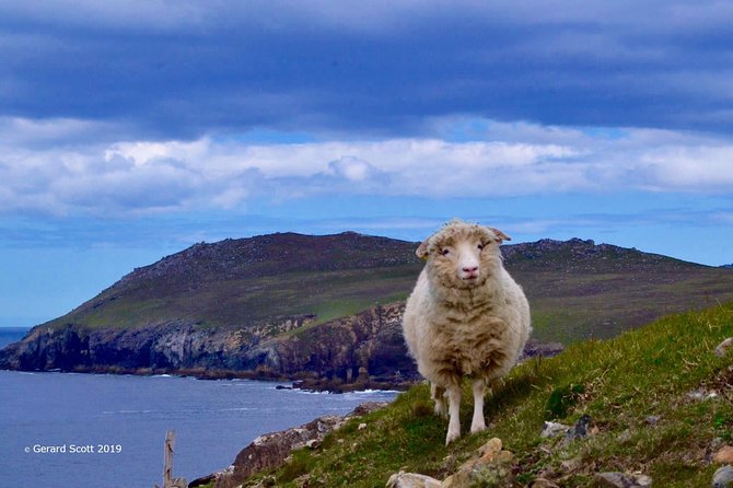 Luxury 'Luck of the Irish' Tour - 4 Day Tour - Day 2: The Atlantic edge of the Dingle Peninsula