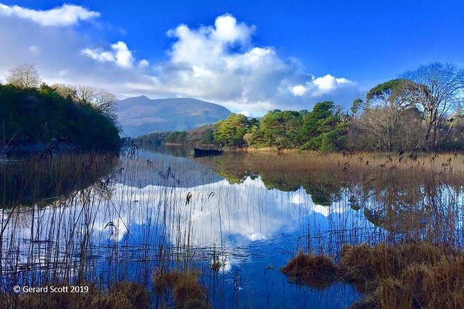 Luxury Photography Day Tour on Dingle Peninsula - Fully Guided and Chauffeured - Comfort, walking, and weather planning