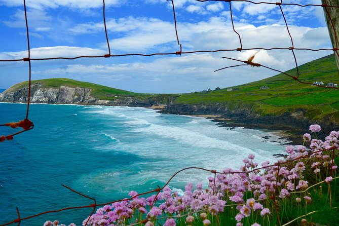 Luxury Photography Day Tour on Dingle Peninsula - Fully Guided and Chauffeured - Following the road toward Slea Head