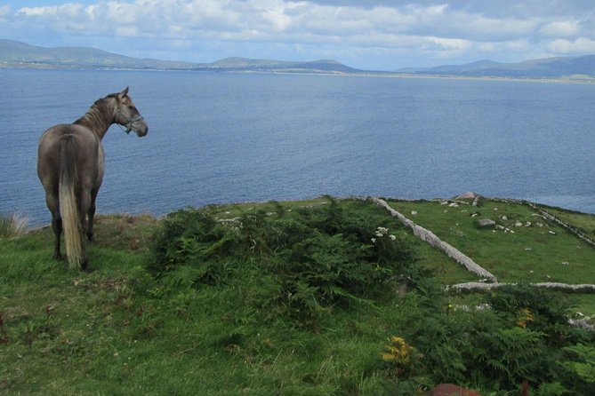 Luxury Photography Day Tour on Ring of Kerry and Skellig Ring - Fully Guided and Chauffeured - Practical points before you reserve