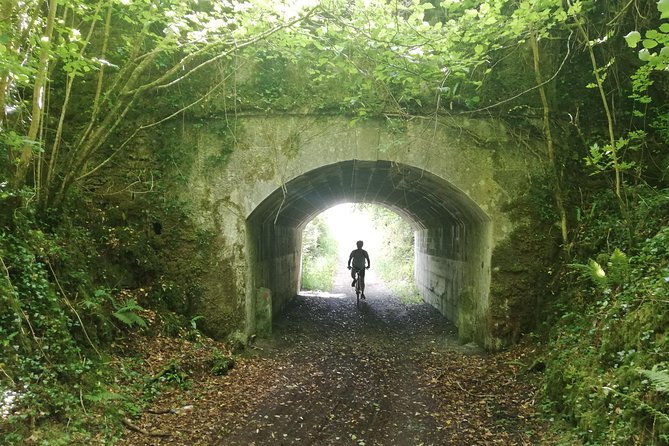 Magical bike tour around Cong - Through Ard Na Gaoithe Forest toward Ashford Castle