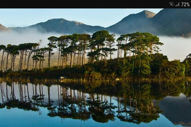 Minibus hire galway Ireland - What the drivers add to the day