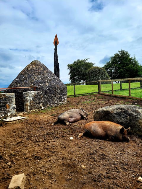 Moate: Dún na Sí Amenity & Heritage Park Admission Ticket - Starting with the 22-acre amenity park