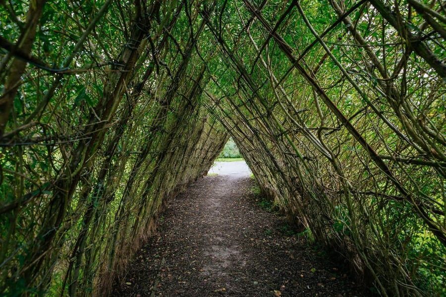 Moate: Dún na Sí Amenity & Heritage Park Admission Ticket - Genealogy help for Westmeath family connections