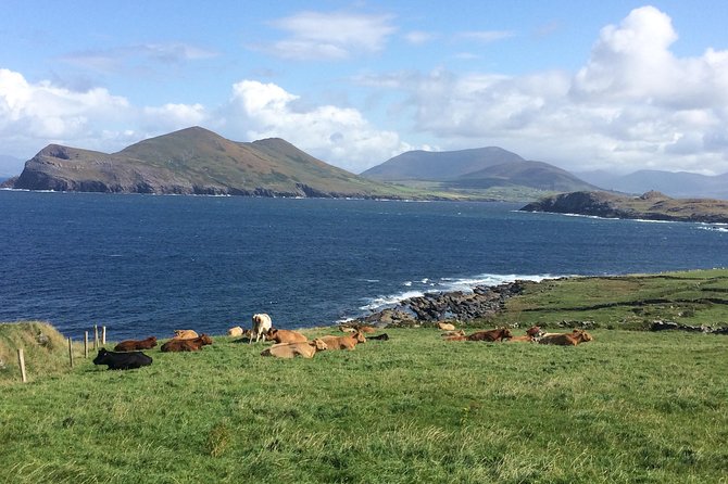 Off the beaten Path Private Tour of Ring of Kerry - Killarney National Park and Torc Waterfall