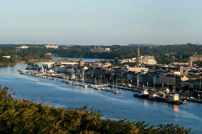 Osprey Viking Cruises - Starting at Clyde Wharf beside Waterford
