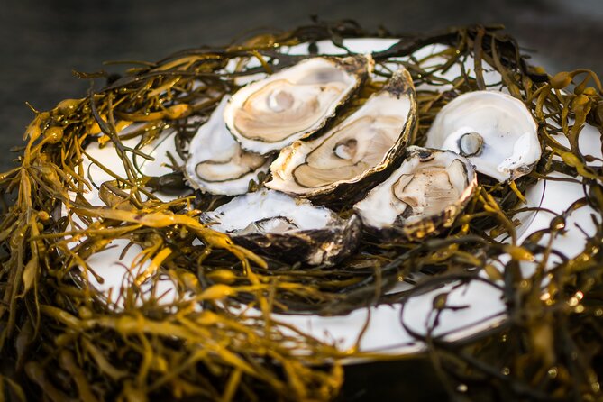 Oyster Farm and Tasting Experience - A practical stop for families