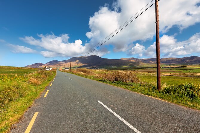 Personalized Full-Day Dingle Peninsula and Slea Head Drive Tour - The Fairyfort and sheep at Lios Stone Circle