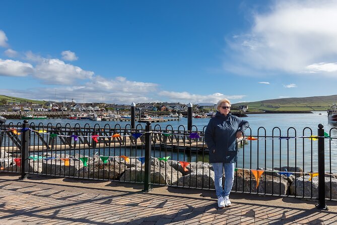 Personalized Full-Day Dingle Peninsula and Slea Head Drive Tour - Irish Famine Cottages: a sobering half-hour