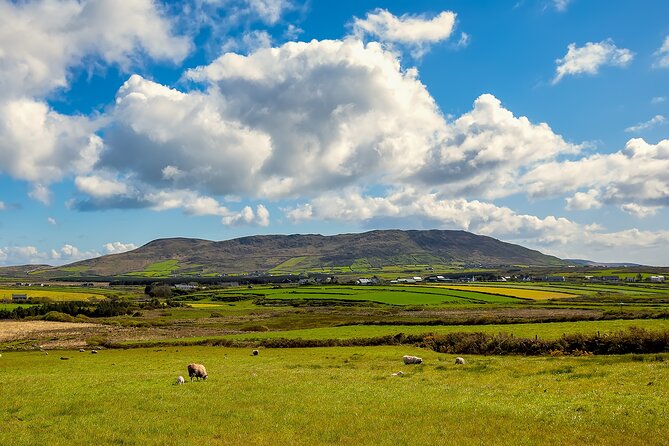 Personalized Full-Day Dingle Peninsula and Slea Head Drive Tour - Fahan BeeHive Huts and ancient stone engineering