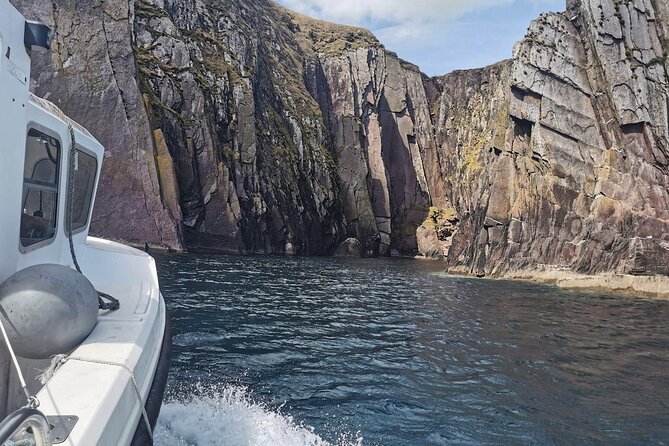 Private 1-Hour Guided Boat Tour in Dingle Peninsula - What to bring and how to plan the hour
