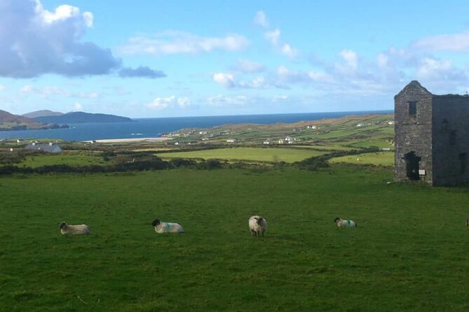 Private 7 Day Custom Luxury Car MPV Tour Of The South & South West Ireland - Day 4: The 179-kilometre Ring of Kerry