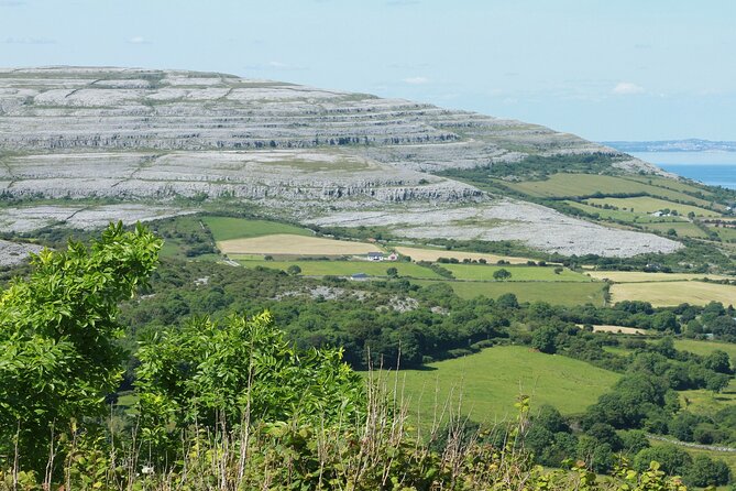 Private Burren and Cliffs of Moher Full Day Tour - Caherconnell’s stone fort and sheepdog display