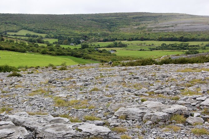 Private Burren and Cliffs of Moher Full Day Tour - Fanore Beach and the coastal road home
