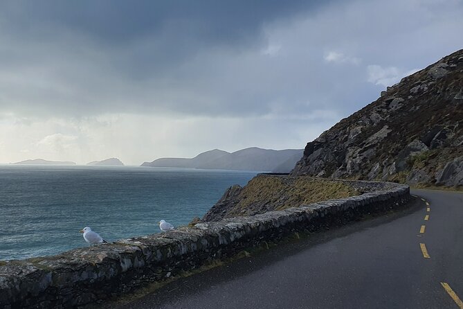 Private Chauffeur Service From Galway City to Dublin Airport - Why a Private Car Can Be Worth the High Price