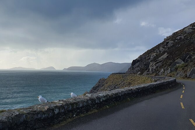 Private Chauffeur Service From Killarney to Shannon Airport - A possible Limerick stop for a personal connection