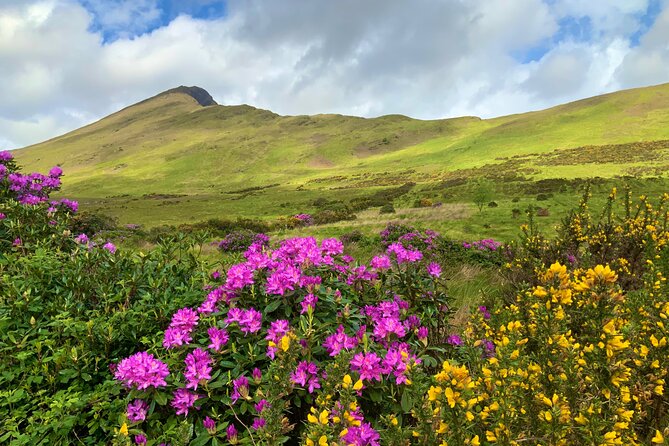 Private Day Tour from Galway to the Burren & The Cliffs of Moher - The real value of $1,100.68