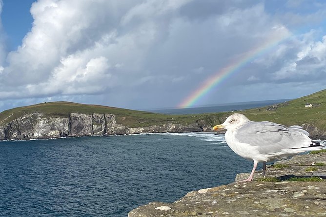 Private Dingle and Slea Head - Why a Private Group of Six Can Be Good Value