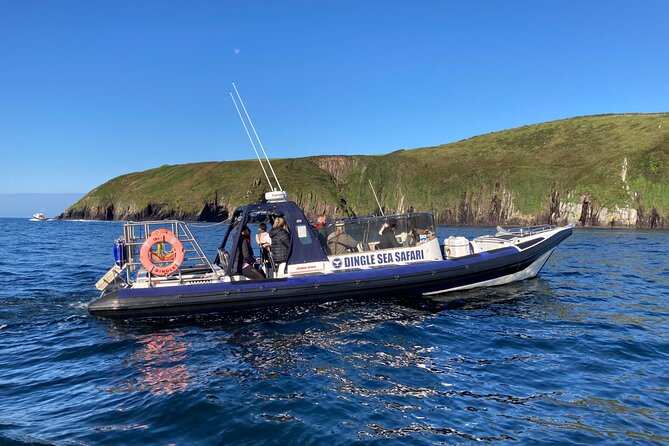 Private family sea safari - Setting Out From Dingle Pier