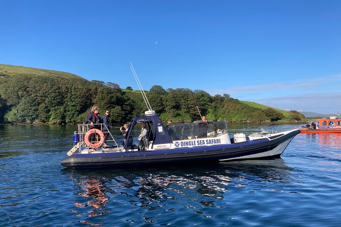 Private family sea safari - Great Blasket Island and Its Cliffs