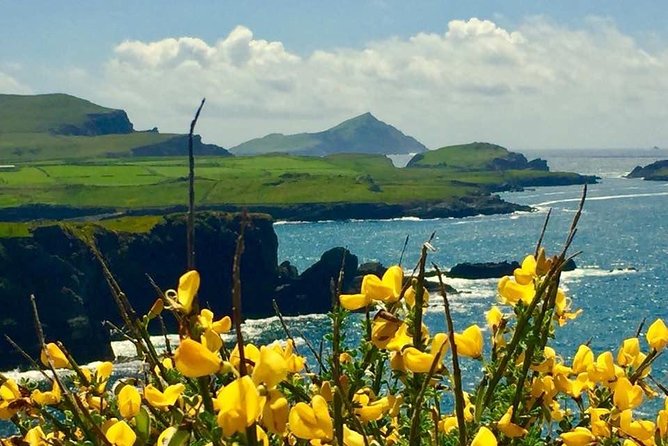 Private Full Day Tour From Killarney - Ring of Kerry/Skellig - Choosing between the Ring of Kerry and Dingle
