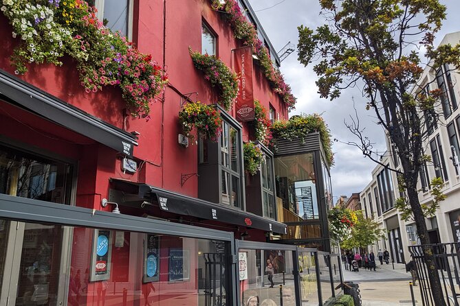 Private Guided Tour of Dublin in French - Merrion Square and Dublin’s Georgian character