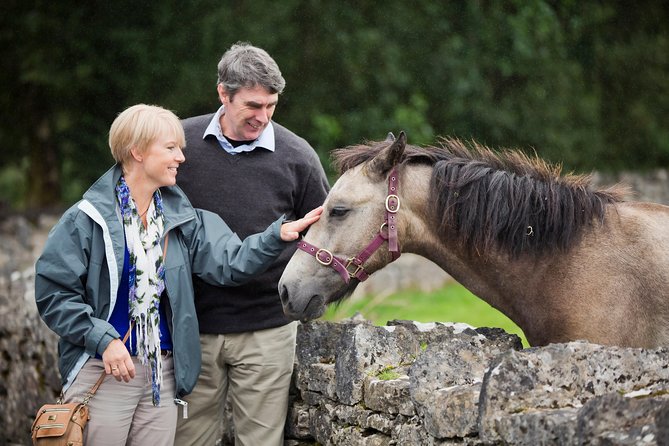 Private Half Day Tour To Connemara - Why a private Connemara tour from Galway makes sense