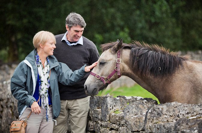 Private Half Day Tour To Connemara - Guides can shape the day