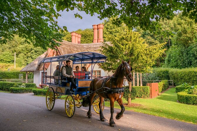 Private Jaunting Tour and Afternoon Tea in Killarney - Ross Castle and the 15-minute pause