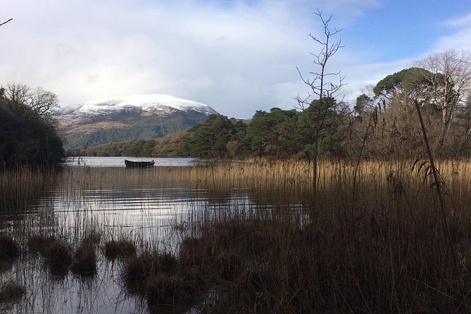Private Killarney Tour - Ross Castle and Aghadoe finish the morning