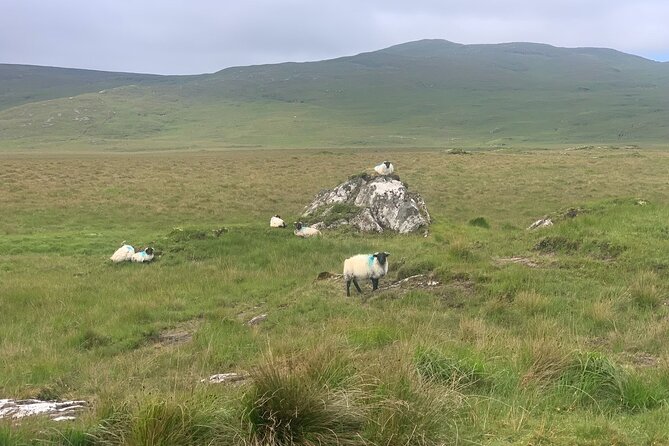 Private Luxury Guided Tour of Connemara from Westport or Ballina - Clifden, the region’s main town