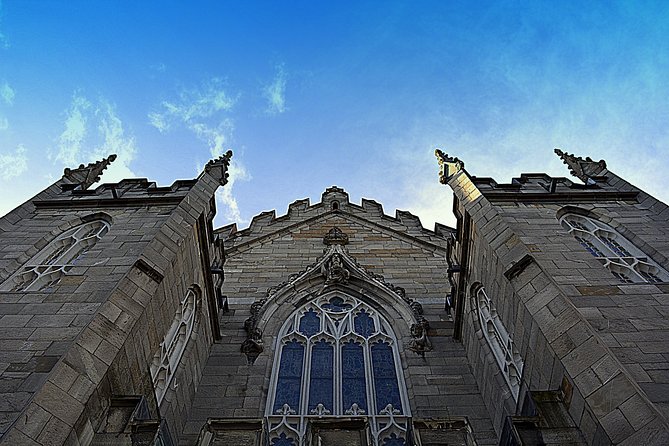 Private (Nearly!) All of Dublin in 5 hours (Walking Tour) - Christ Church, St. Patrick’s, and what you miss inside