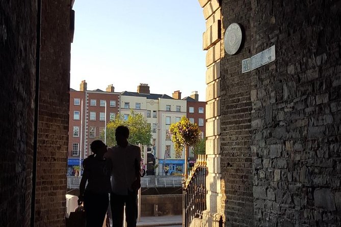 Private (Nearly!) All of Dublin in 5 hours (Walking Tour) - Dublin Castle and the medieval core
