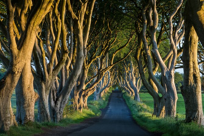 Private Northern Ireland Day Tour from Dublin - Dunluce Castle, an hour above the sea