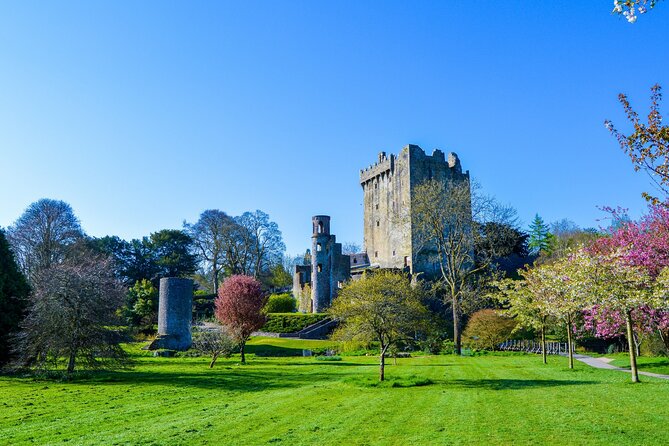 Private Tour: Classic Cork Tour visiting Blarney Castle & Kinsale - Key points before you book