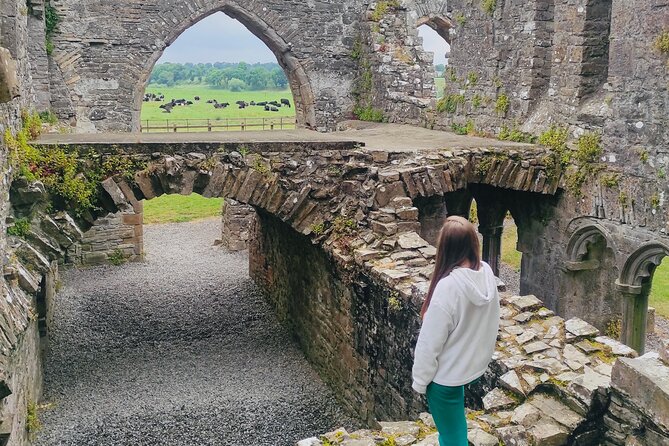 Private Tour from Dublin: Hill of Tara Trim Castle, Celtic sites - Why This Private Dublin Excursion Works