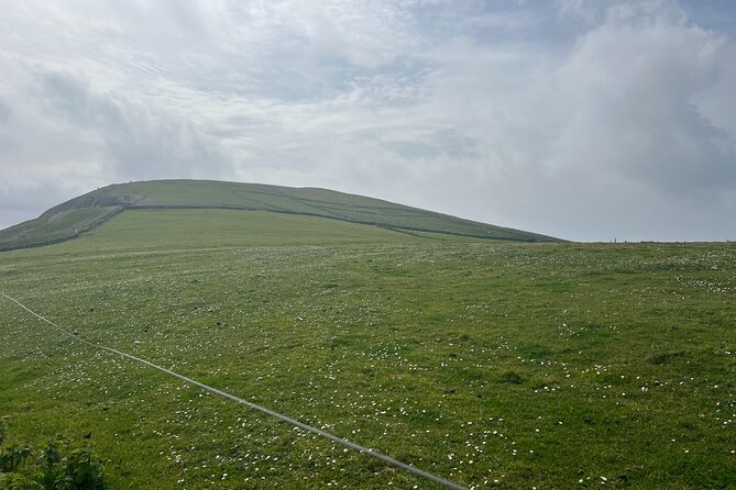 Private Tour of Dingle Peninsula from Killarney - Price, group size, and real value